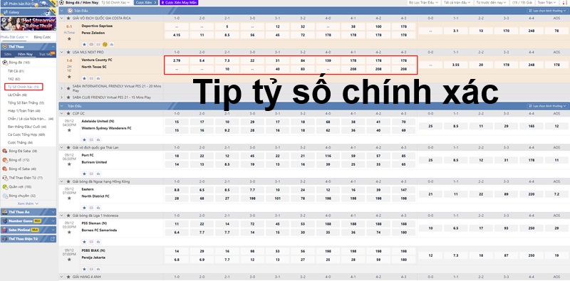 Tip tỷ số chính xác